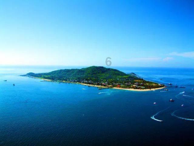 小僵尸射飞鸟